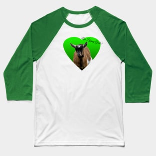 Love Pygmy Goats! Baseball T-Shirt